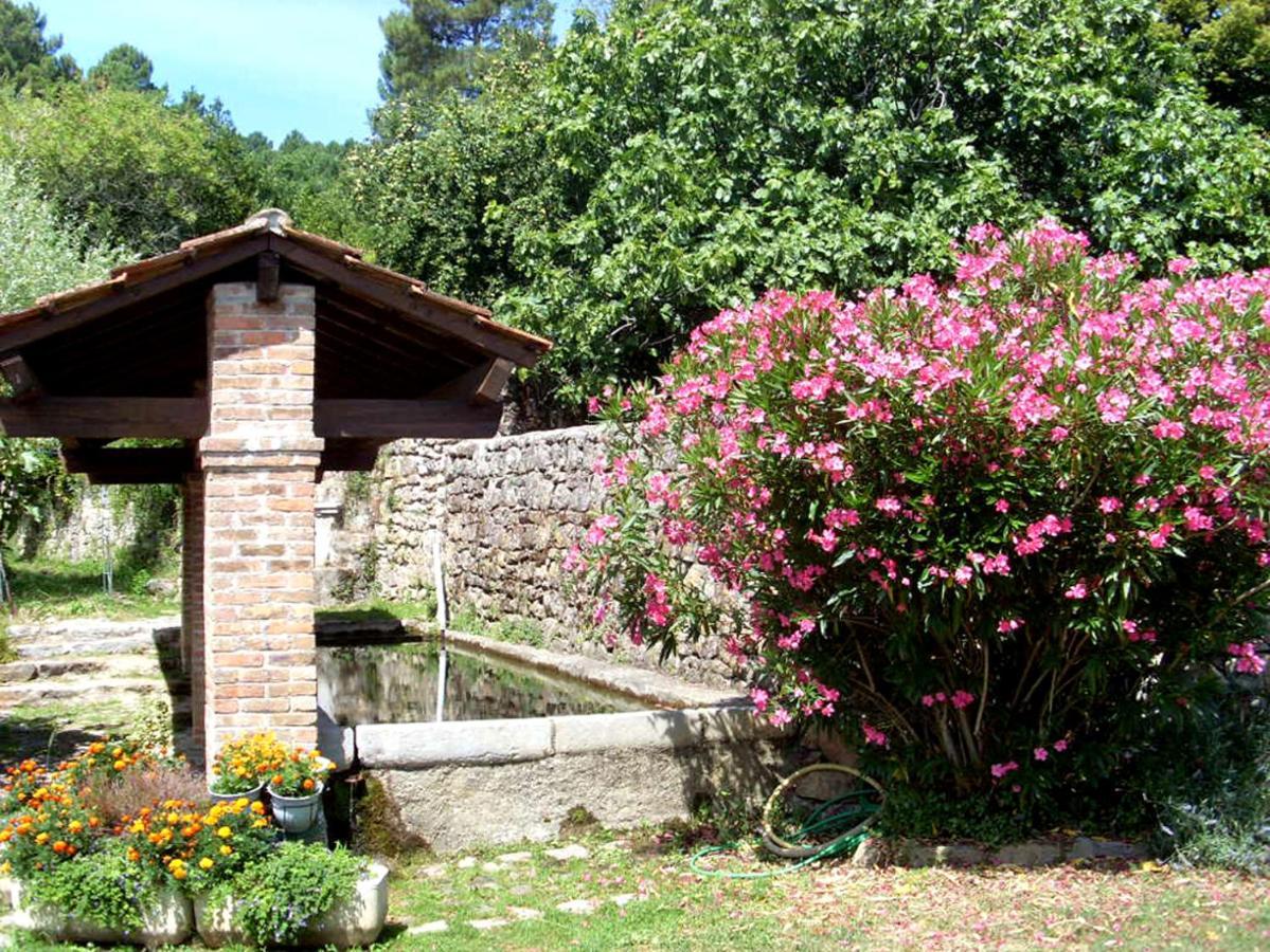 Gites Les Eaux Claires Saint-Paul-le-Jeune Exterior photo